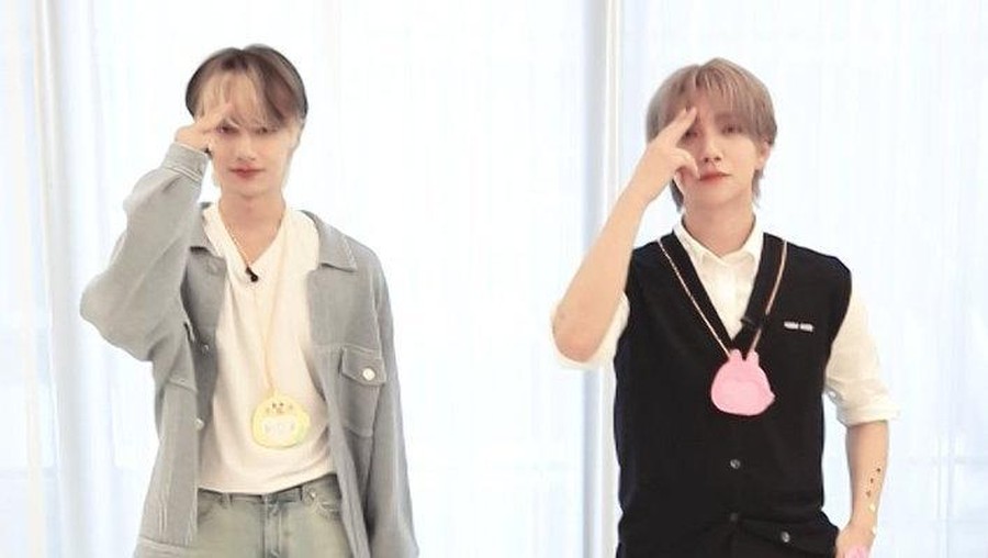 Joshua dan Jun SEVENTEEN