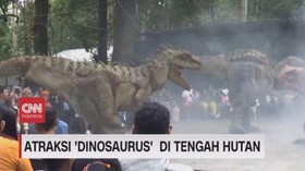 VIDEO: Atraksi 'Dinosaurus'  di Tengah Hutan