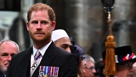 Harry dan William Nihil Interaksi di Penobatan Raja Charles