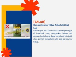 Heboh Ramuan Herbal Anti Sakit Gigi Seumur Hidup, Diskominfo DIY: Hoax!
