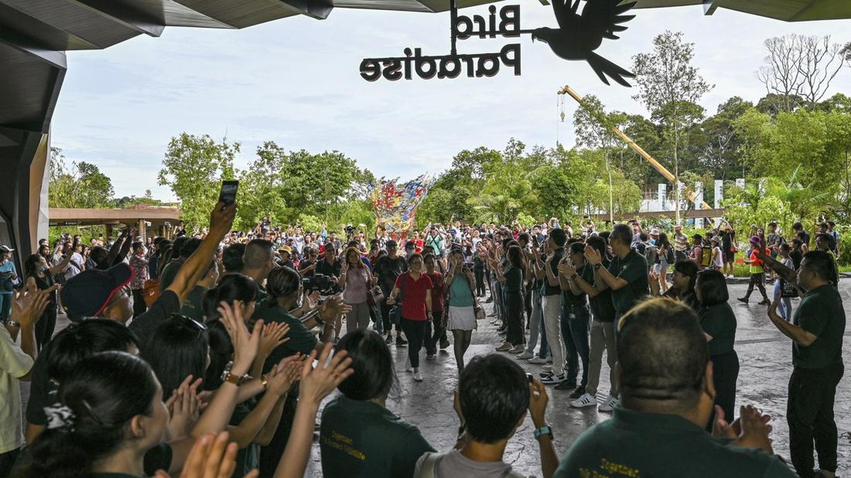 FOTO: Melihat Taman Burung 17 Hektar yang Baru Buka di Singapura