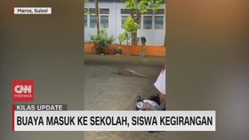 VIDEO: Buaya Masuk ke Sekolah, Siswa Kegirangan