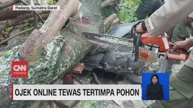 VIDEO: Ojek Online Tewas Tertimpa Pohon
