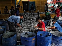 Membaca Dialektika Kebijakan Penangkapan Ikan Terukur