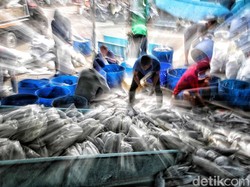Hati-hati Jangan Sembarangan Tangkap Ikan di Laut! Dipelototi 20 Satelit