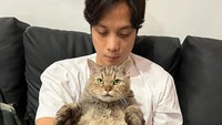 <p>Di ruang tamu, Dikta kerap menghabiskan waktu untuk bersantai di sofa bersama sang kucing, Jimbon. Sofa-sofa empuk bernuansa gelap menjadi tempat nyaman untuk bersantai. (Foto: Instagram @dikta)</p>