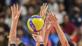 5 Posisi Bermain dan Fungsinya di Bola Voli