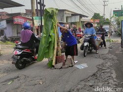 Sindiran Warga Sidoarjo Jalan Rusak Diperbaiki Sendiri hingga Tanam Pohon