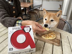 Di Jepang Ada Pizza Khusus untuk Anjing, Begini Tampilannya
