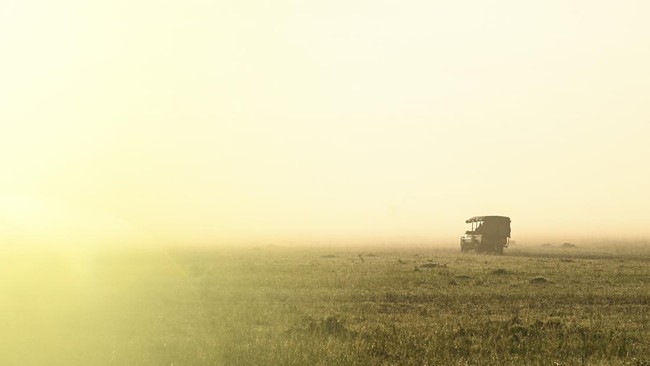 FOTO: Safari Jelajahi Cagar Alam Masai Mara di Kenya