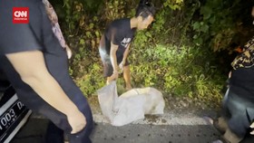 VIDEO: Polisi Tangkap Pelaku Mutilasi Di Semarang, Pelaku Ditembak