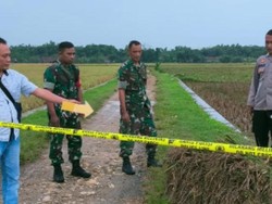 Motor Mogok di Sawah, Petani Grobogan Tewas Tersambar Petir