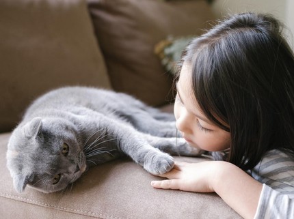Manfaat Hewan bagi Manusia, Salah Satunya Bisa Upaya Terapi Wicara Anak