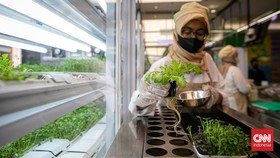 FOTO: Menikmati Salad dari Kebun Canggih Berbasis AI di Jakarta
