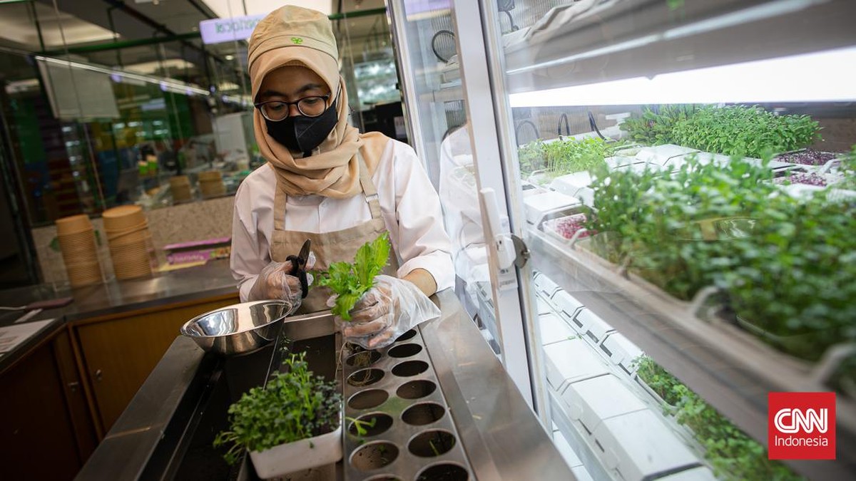 FOTO: Menikmati Salad dari Kebun Canggih Berbasis AI di Jakarta