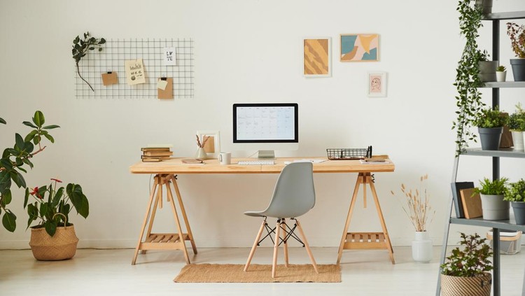 Comfortable workplace with potted plants