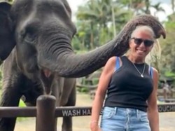 Bule Bali Digigit Gajah, Viral Disorot Media Asing