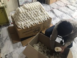 Gokil Sih, Pria Ini Sukses Jadi Suplier Bulu Bebek Bahan Baku Kok