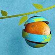 Mengenal Greenwashing, 
