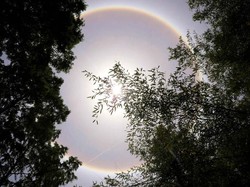 Simak Lagi Penjelasan BMKG soal Fenomena Halo Matahari yang Terlihat di Jogja