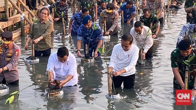 Presiden Jokowi dan Menteri Pertahanan Prabowo Subianto kompak menyemplung ke air untuk menanam pohon bakau di Taman Wisata Alam Angke Kapuk, Jakarta Utara.