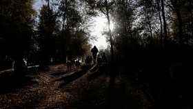 FOTO: Cerita Buena Cabra, Kambing-kambing Penyelamat Hutan dari Api