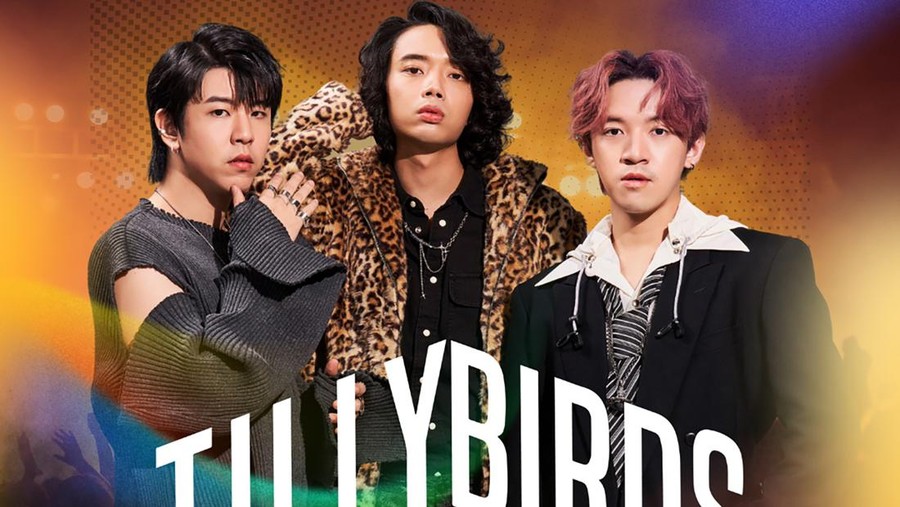Tilly Birds Tilly Birds