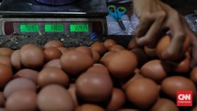 Pedagang memilih telur ayam di salah satu pasar tradisional Depok, Jawa Barat, Selasa, 16 Mei 2023. (CNN Indonesia/Adhi Wicaksono)
