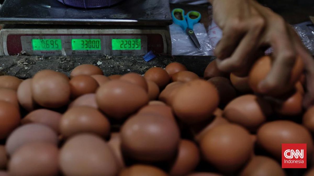 Mentan Soroti Anomali Harga Telur, Minta Bulog Serap hingga Rp30 M