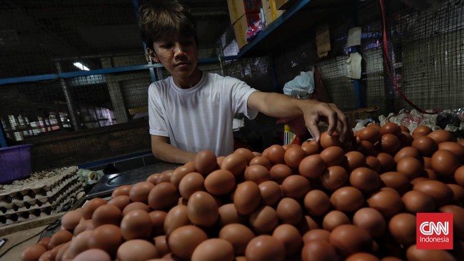 Menteri Perdagangan (Mendag) Zulkifli Hasan memperkirakan harga telur dan ayam baru kembali normal bulan depan.
