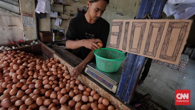 Kementerian Perdagangan buka suara soal impor beras dan kenaikan harga telur ayam pada 2023.