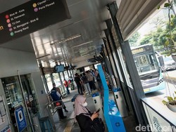 Gerindra Dukung Revitalisasi Halte TransJ, Minta Ada Halte Sementara