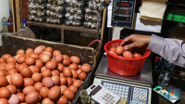 Harga Telur Tak Terkendali, Ternyata Ini Biang Keroknya