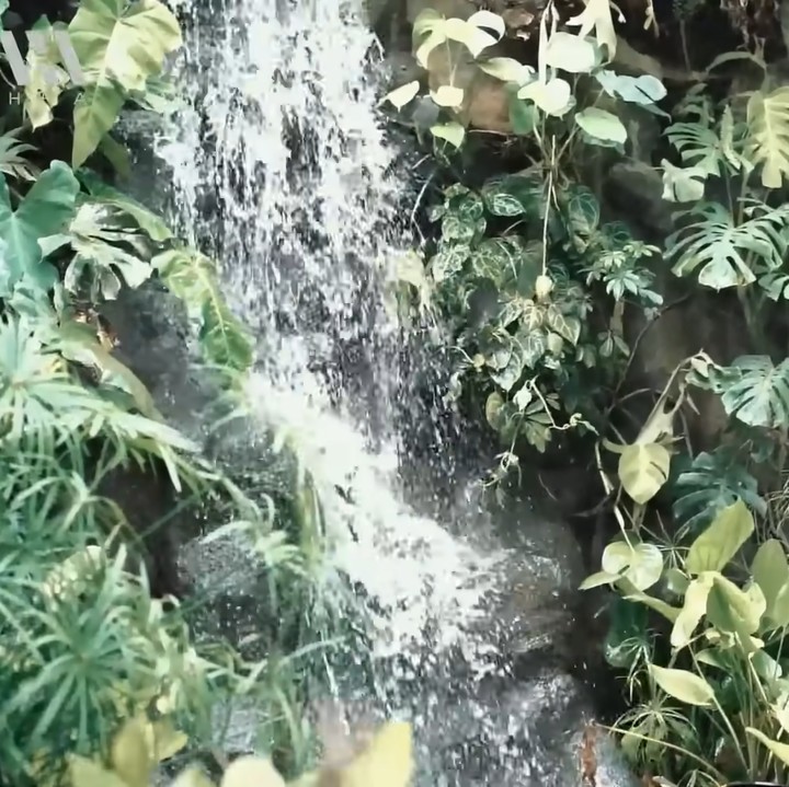 <p>Sesuai dengan konsep rumah mereka, di halaman samping, Baim membuat air terjun buatan. Area ini dibuat dengan tujuan supaya bisa mendapatkan inspirasi dengan cepat. (Foto: YouTube AH)</p>