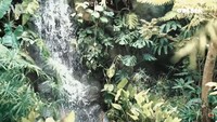<p>Sesuai dengan konsep rumah mereka, di halaman samping, Baim membuat air terjun buatan. Area ini dibuat dengan tujuan supaya bisa mendapatkan inspirasi dengan cepat.&nbsp;(Foto: YouTube AH)</p>
