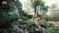 <p>Menariknya, Baim Wong juga membuat area hijau seperti hutan yang asri. Ia bahkan memiliki air terjun di rumah. Selain itu, bagian interior rumah juga dilengkapi dengan paludarium, area tertutup berupa lingkungan hijau yang hidup. "Kalau ini namanya paludarium sama di sana juga ada air terjun," kata Baim. (Foto: YouTube AH)</p>
