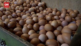 VIDEO: Harga Telur Ayam Meroket, Telur Pecah Dicari Pembeli