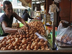 Telur Tembus Rp 29 Ribu Per Kg, Asosiasi Unggas Sumsel: Harga Menyesuaikan