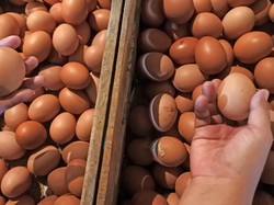 Ya Ampun! Harga Telur Ayam Naik Gila-gilaan Tembus Rp 40.000/Kg