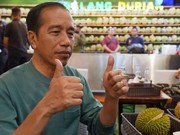 Jokowi 'Pesta Duren' Bareng Menteri Rayakan Timnas Menang di SEA Games