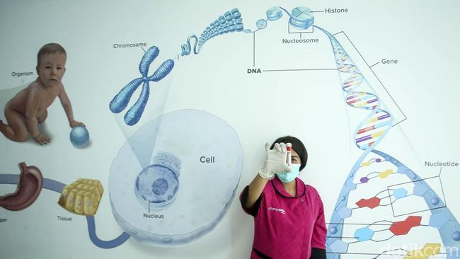 Ternyata penyebab leukemia bukan faktor riwayat keluarga atau keturunan melainkan mutasi genetik. Ahli berikan penjelasan.
