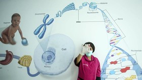 Kasus di Indonesia Terus Meningkat, Apa Penyebab Leukemia?