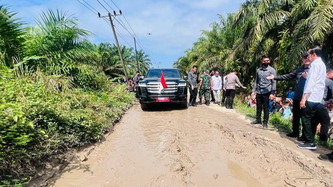 Gubernur Sumut Edy Rahmayadi mencopot Kepala Dinas Pekerjaan Umum dan Penataan Ruang (PUPR) usai Jokowi blusukan temukan banyak jalan dan infrastruktur rusak.