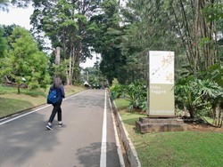 5 Wisata Alam yang Lebih Sepi dan Murah Dibandingkan Puncak