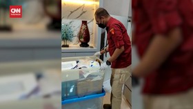 VIDEO: Detik-detik Penyidik Kejagung Geledah Kominfo