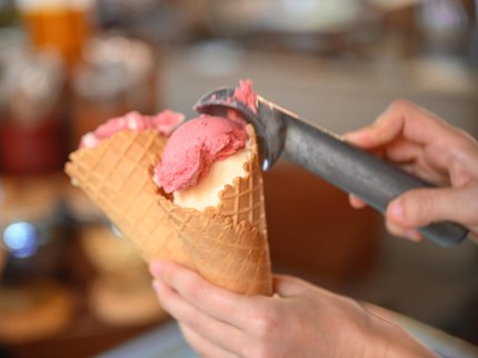Kisah Wanita Lulusan Harvard Jualan Es Krim, Cuan hingga Rp3,4 M