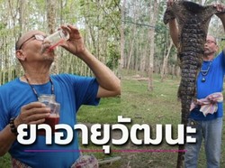 Pria Ini Rajin Minum Darah Buaya Campur Alkohol Agar Bugar