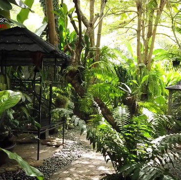 Hobi Bercocok Tanam, Ini 7 Potret Rumah Yuni Shara Rimbun bak Menyatu dengan Alam