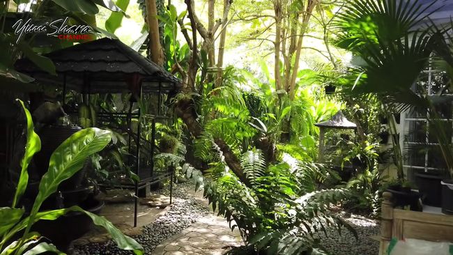 Hobi Bercocok Tanam, Ini 7 Potret Rumah Yuni Shara Rimbun bak Menyatu dengan Alam