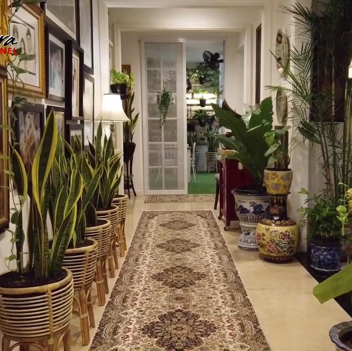 <p>Terdapat lorong di rumah Yuni Shara yang digunakan sebagai tempat penyimpanan tanaman lidah mertua. "Ini ada lorong yang saya manfaatkan buat tanaman lidah mertua," kata Yuni. (Foto: YouTube Yuni Shara Channel)</p>